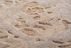 Teppich Arabesque natural taupe: Detailansicht
